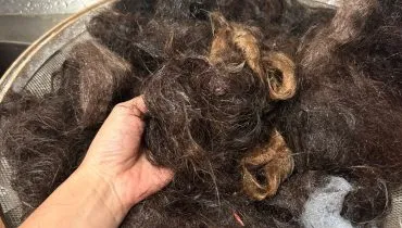 Pesquisadora do Paraná quer usar cabelo humano em plantações; entenda