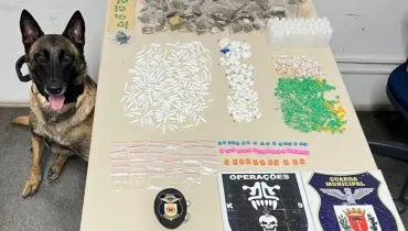 Mega arsenal de drogas sintéticas é encontrado por cão da GM em Curitiba