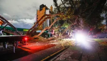 Queda de árvore em bairro Curitiba bloqueia importante avenida. Veja fotos!