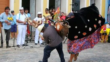 Folia do Boi de Mamão 2025 anima Litoral do Paraná