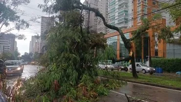 Chuva forte provoca estragos em poucos minutos em Curitiba