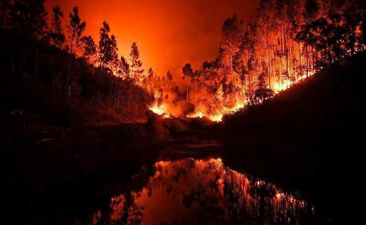 As autoridades disseram anteriormente que o calor de 40 graus nos últimos dias poderia ter contribuído para o incêndio. Foto: Reprodução/Instagram