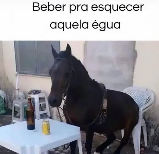 Na imagem do meme, um cavalo está sentando em uma mesa de bar, com uma lata de cerveja para "beber".