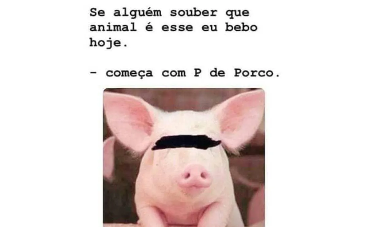 Imagem mostra um porco com uma tarja só no olho e a seguinte frase: Se alguém souber que animal é esse eu bebo hoje. Começa com P de Porco"