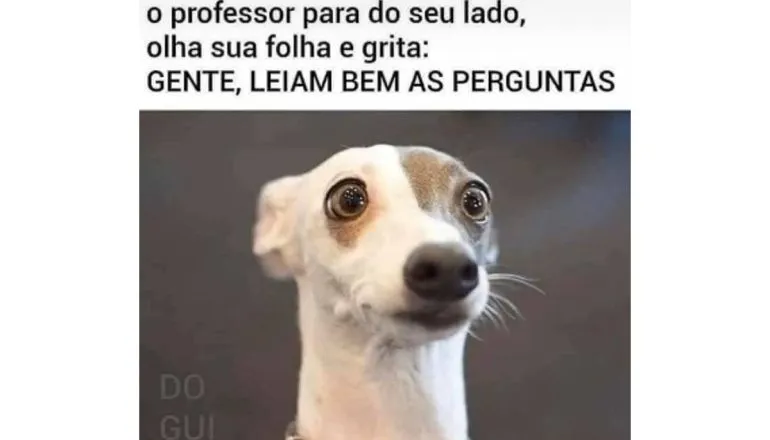 Imagem mostra um cachorro com cara de assustado e a frase: Aí durante a prova o professor para ao seu lado e diz: "Gente, leiam bem as perguntas"