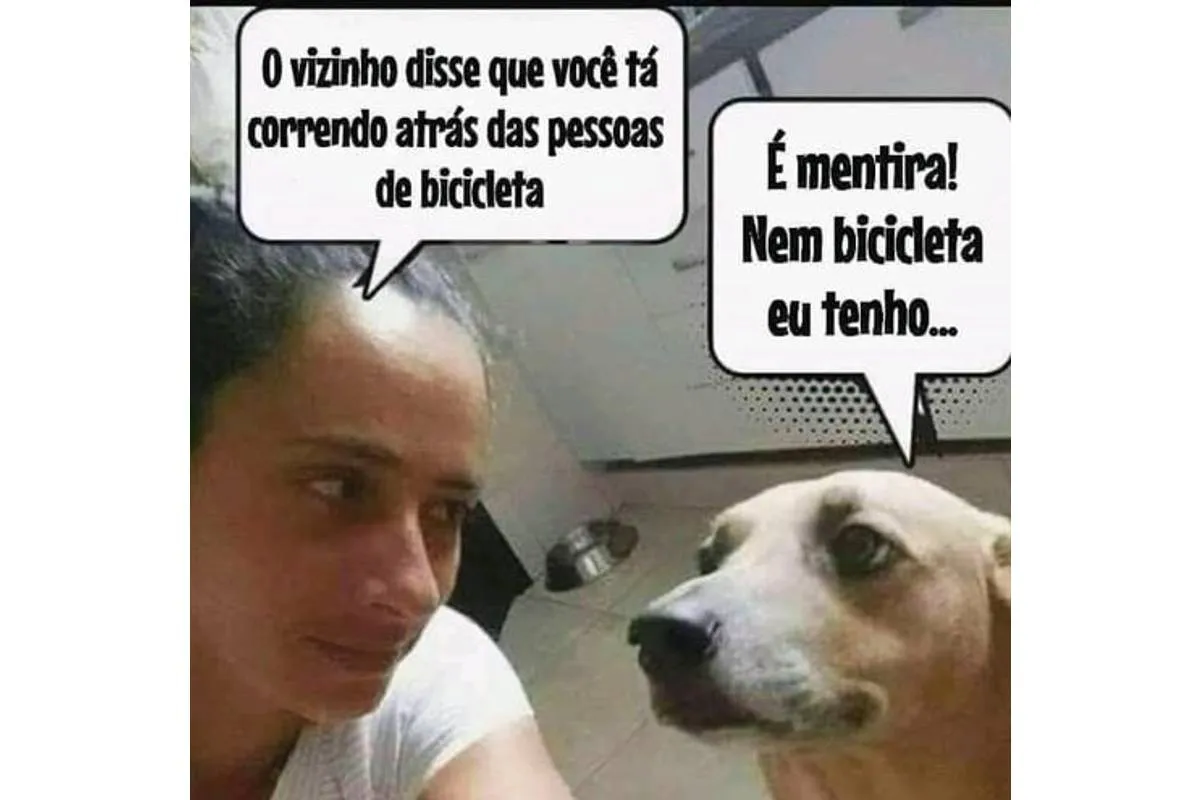 Imagem mostra uma mulher conversando com um cachorro e o seguinte diálogo: O vizinho disse que você está correndo atrás dos vizinhos de bicicleta. É mentira! Nem bicicleta eu tenho!