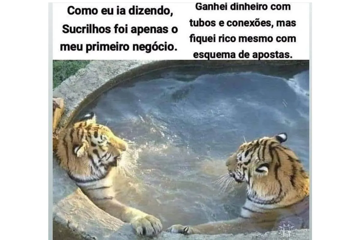 Imagem mostra dois tigres conversando dentro de uma banheira com a seguinte informação: Como eu ia dizendo, sucrilhos foi apenas meu primeiro negócio, Ganhei dinheiro com tubos e conexões, mas fiquei mesmo com o esquema de apostas