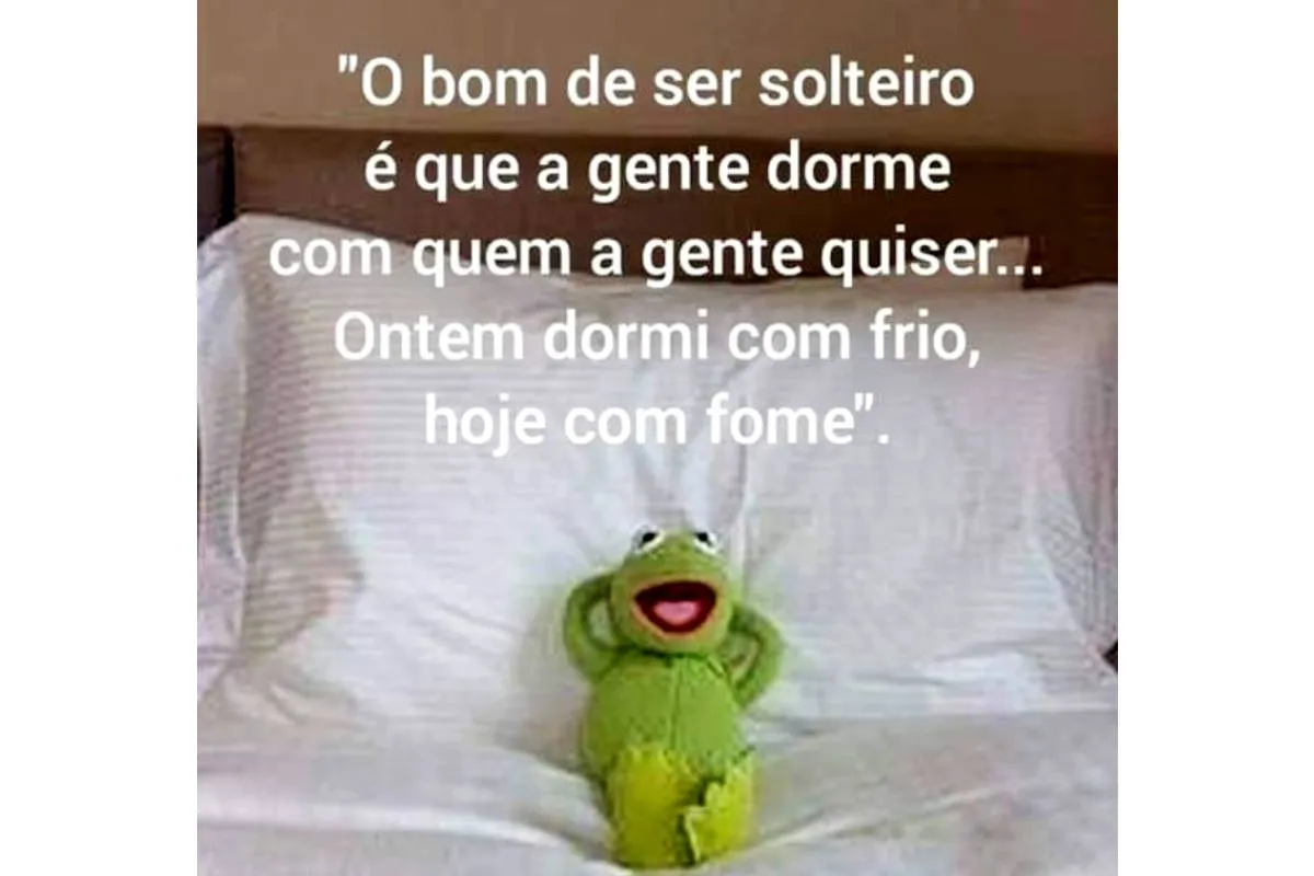 Imagem mostra o sapo Caco em uma cama