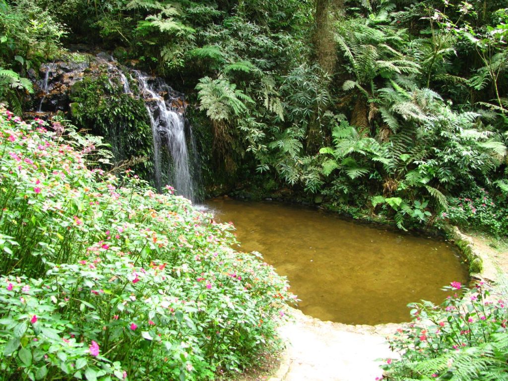 Conheça a piscina com água mineral que fica pertinho de Curitiba
